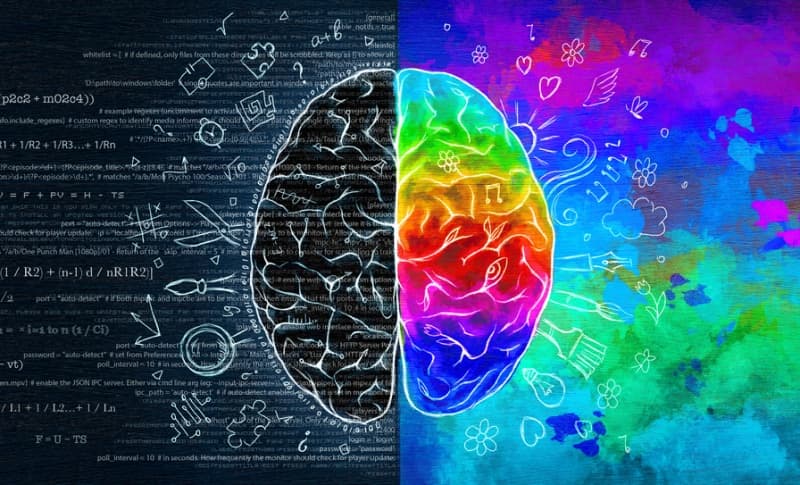 CREATIVE-RIGHT VS LOGICAL-LEFT: FACT OR MYTH